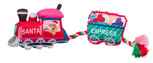 House of Paws Merry & Bright Santa Paws Express Dog Toy