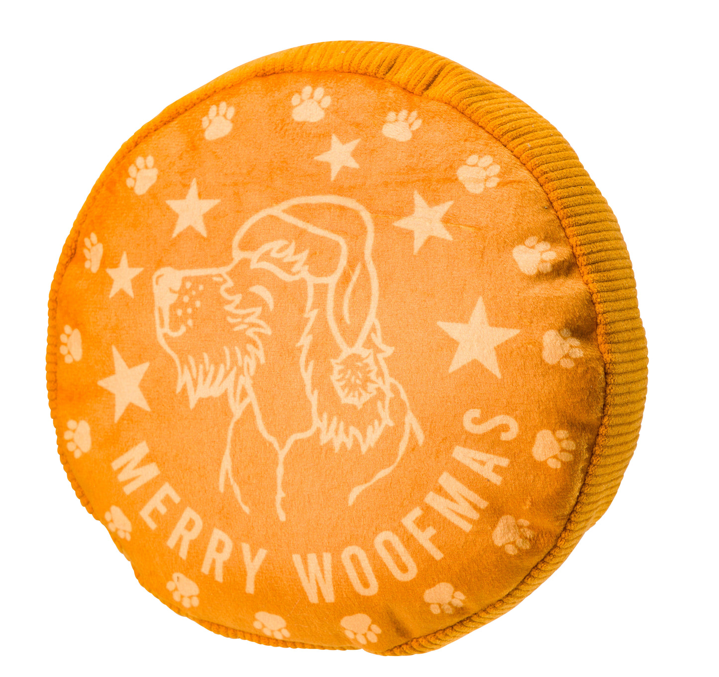 House of Paws Golden Coin Dog Toy