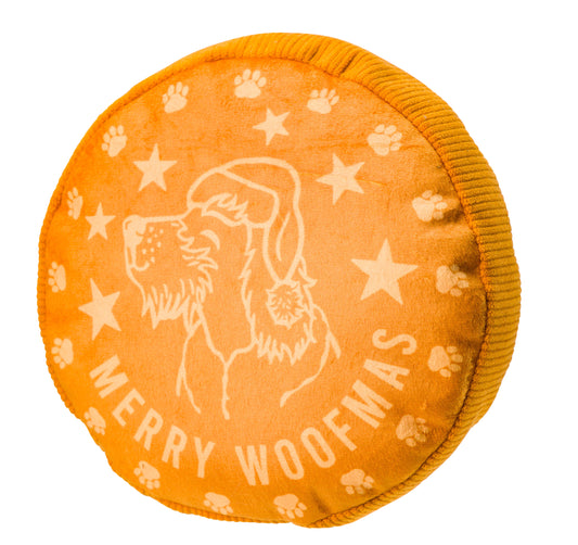 House of Paws Golden Coin Dog Toy