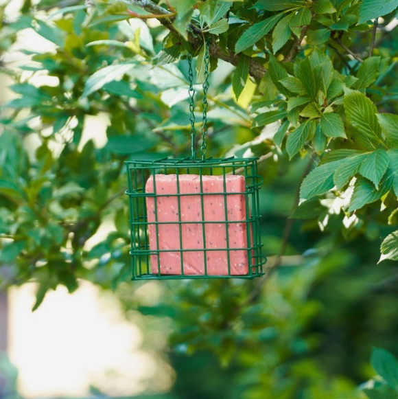 Harrisons Suet Block With Berries Box (10x 280g)