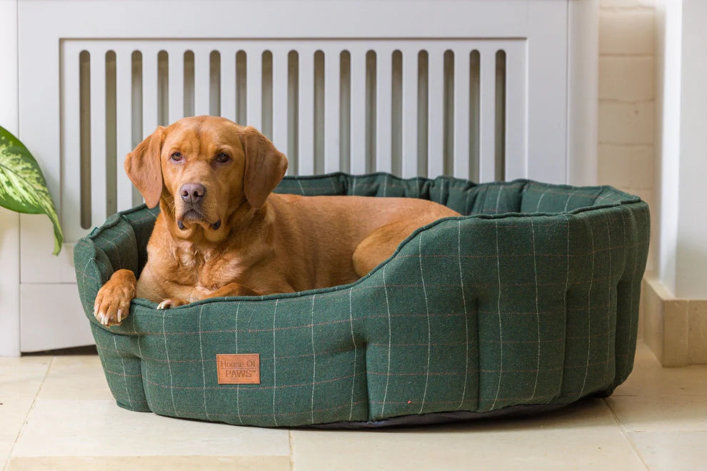 House of Paws Green Tweed Oval Snuggle Bed
