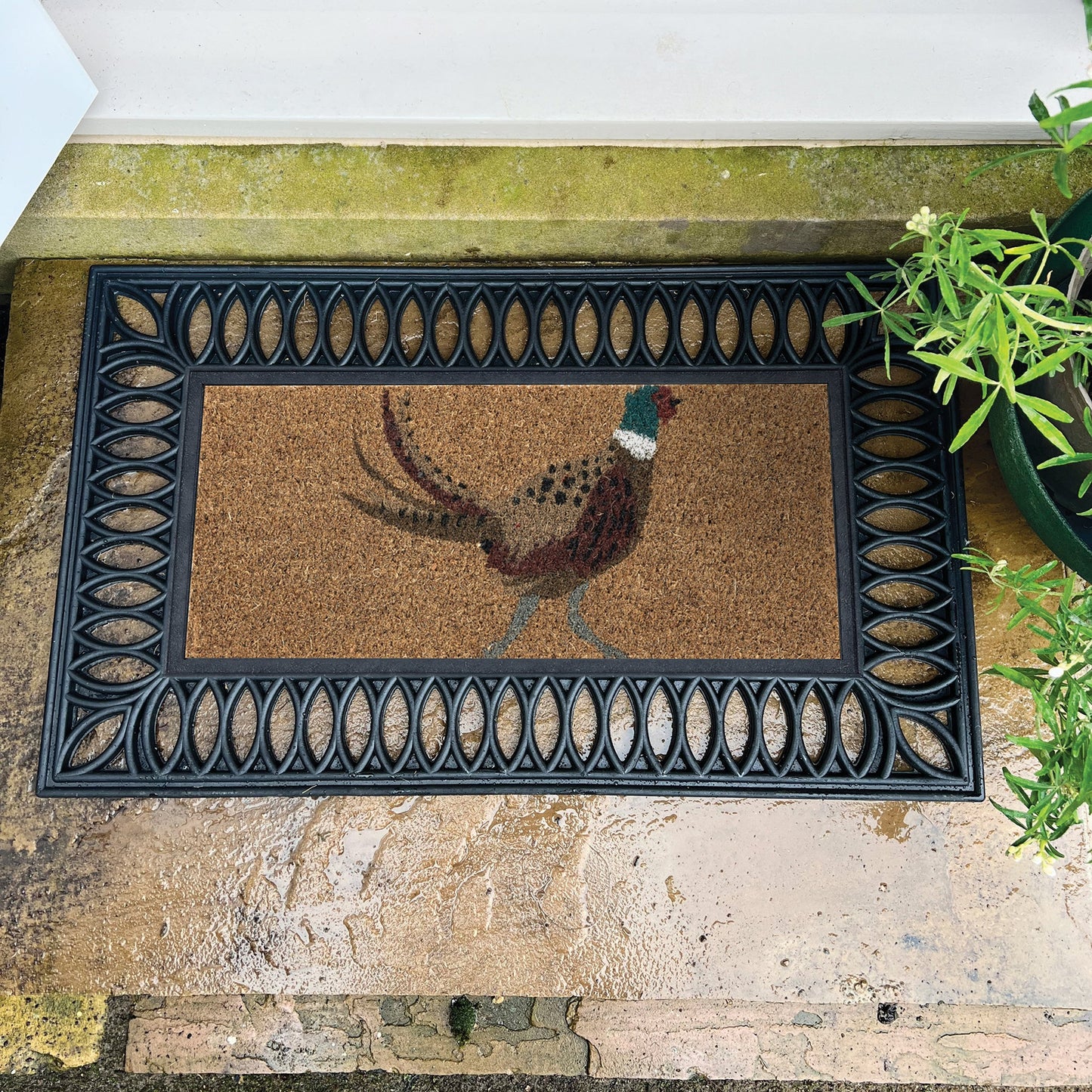 Hug Rug My Mat Pheasant Coir Insert