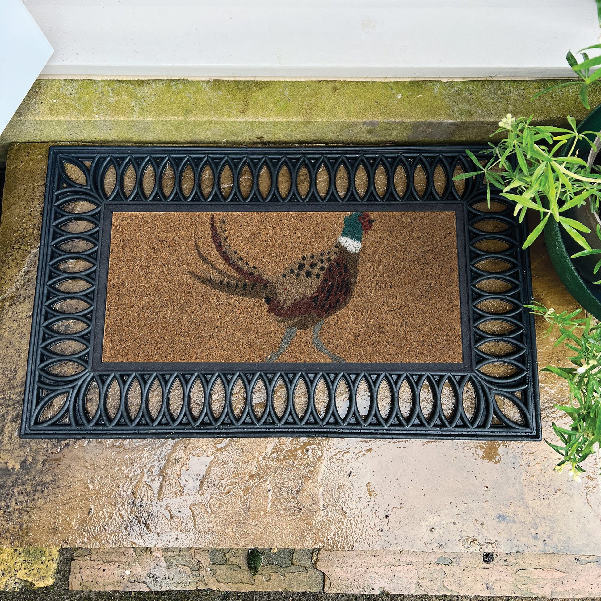 Hug Rug My Mat Pheasant Coir Insert
