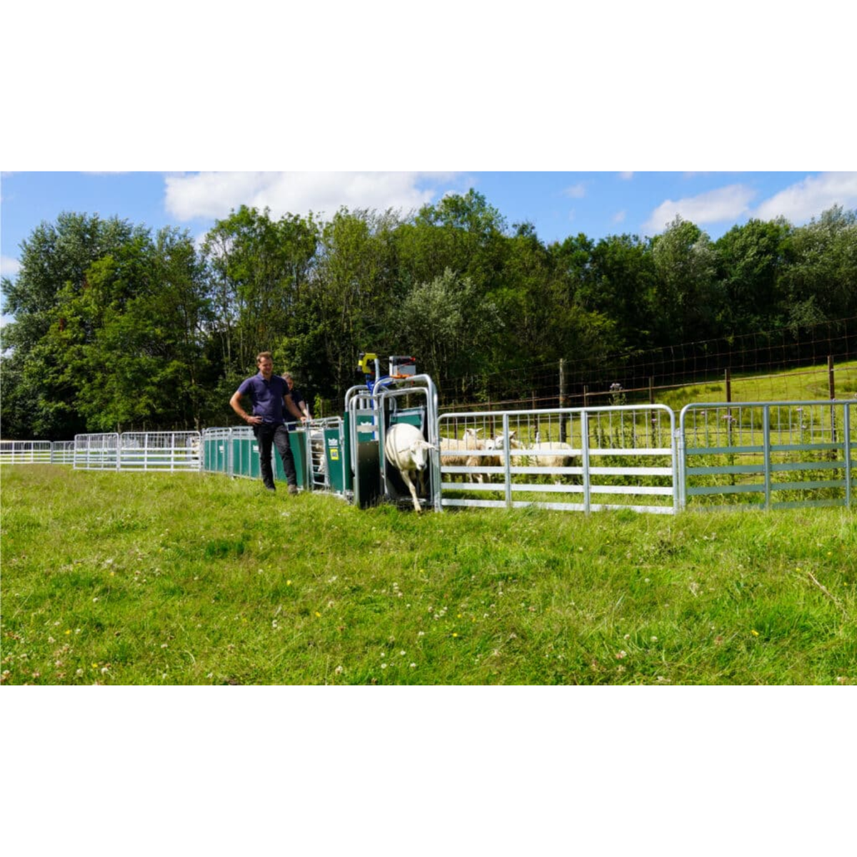 IAE Prattley 10ft standard mobile yard sheep handling trailer system with alloy hurdles packed for road transport