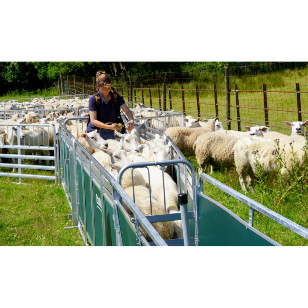 IAE Prattley 10ft standard mobile yard sheep handling trailer system with alloy hurdles packed for road transport