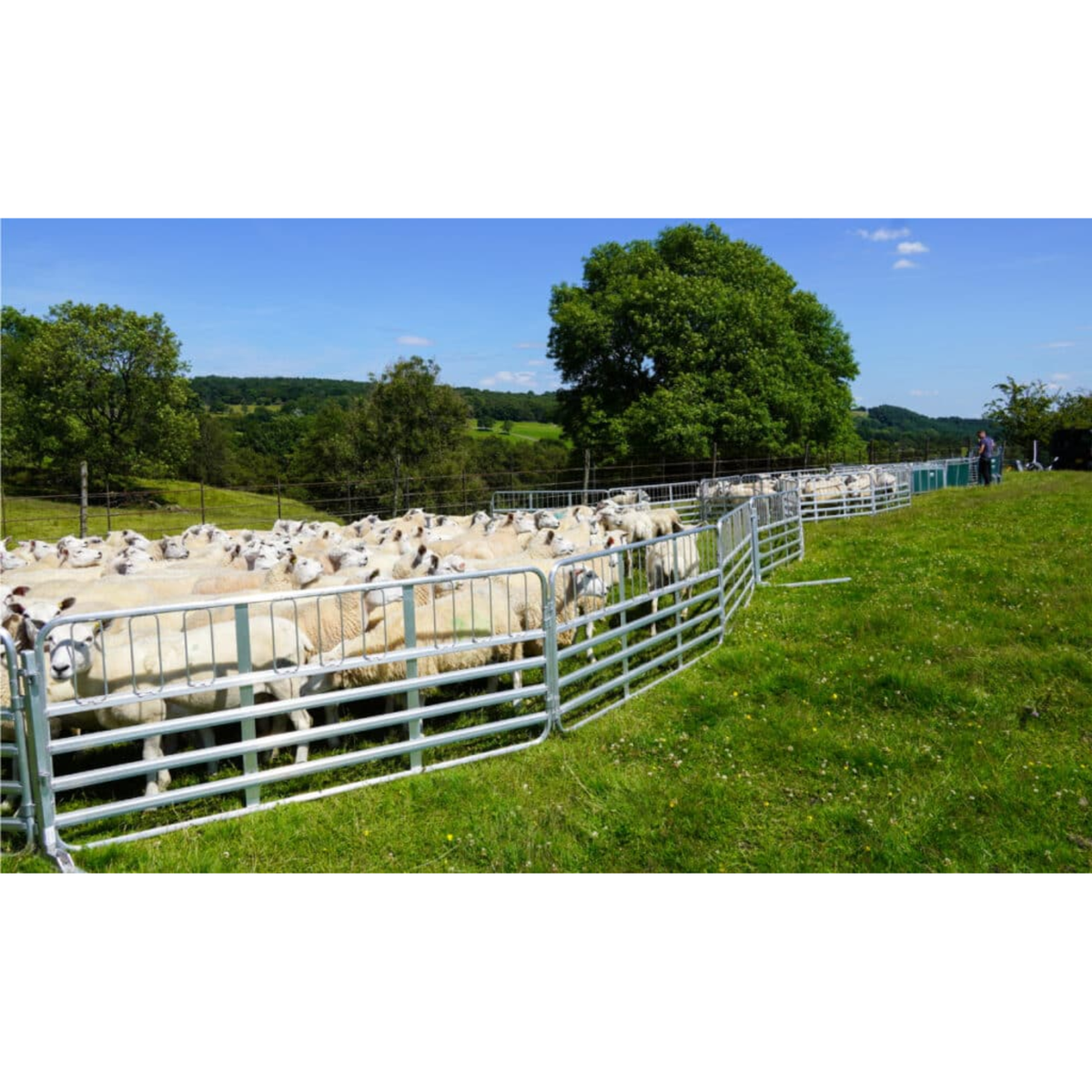 IAE Prattley 10ft standard mobile yard sheep handling trailer system with alloy hurdles packed for road transport