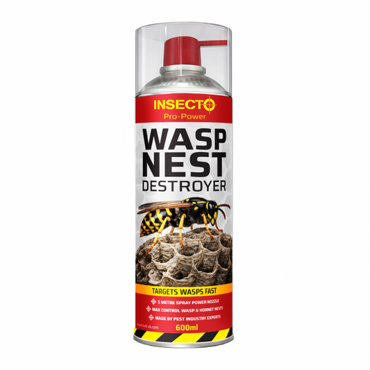Insecto Wasp Nest Destroyer 600ml aerosol spray can with 5 metre nozzle for wasp and hornet nest treatment.