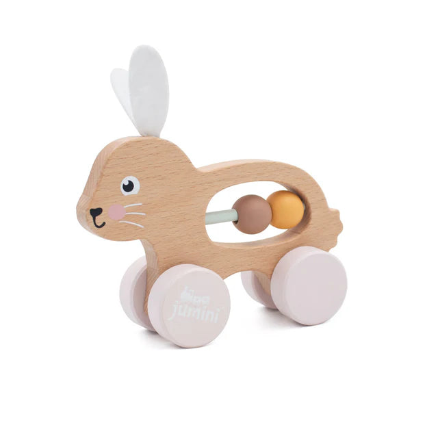 Inside Out Toys - Limited Edition - Bunny Push Along