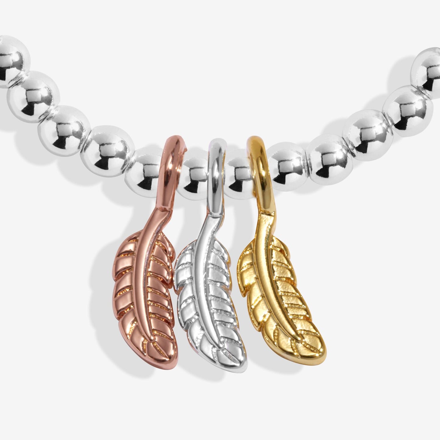 Joma Jewellery A Little Charmed Moments Feathers Appear When Loved Ones Are Near Silver Plated Bracelet