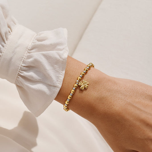Joma Jewellery Words To Treasure Lucky Charm Bracelet In Silver and Gold Plating