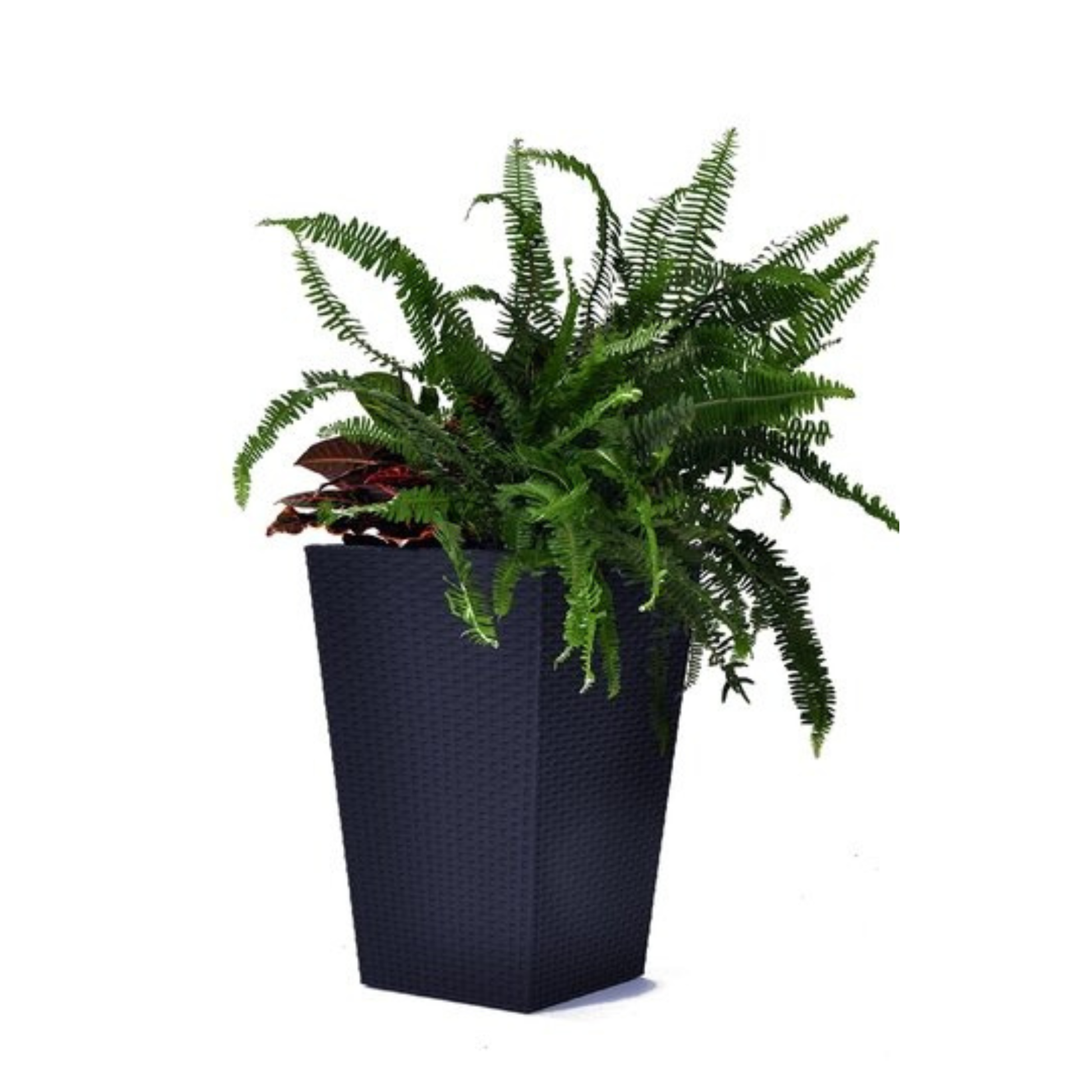 Keter Rattan Anthracite Medium Planter 57cm