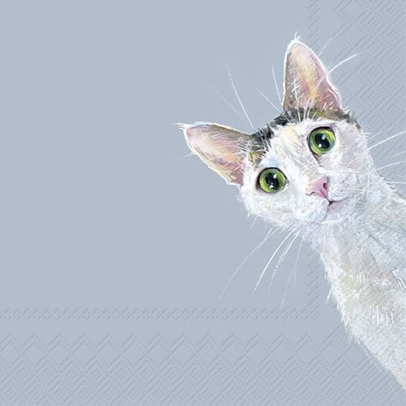 IHR Cat Stella Light Blue Lunch Napkins