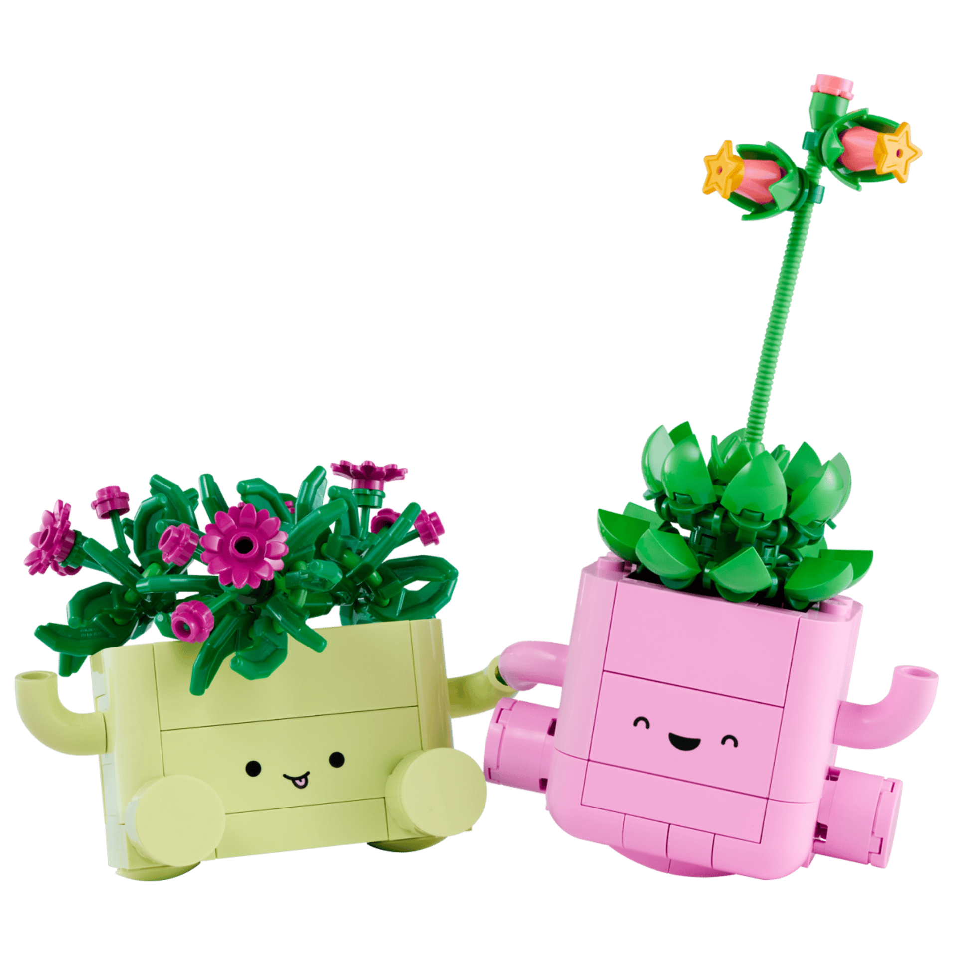 Lego Botanicals Rocking Plants 11506