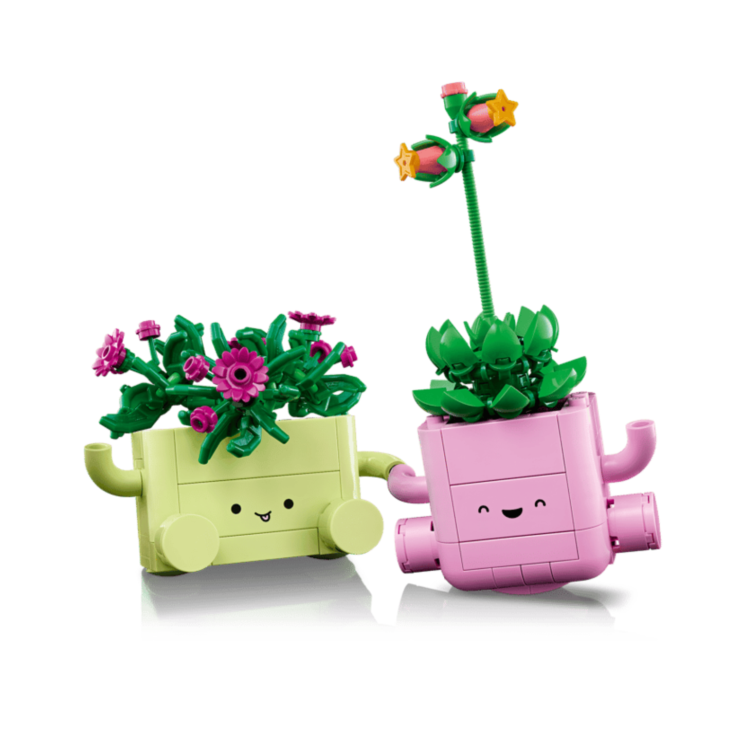 Lego Botanicals Rocking Plants 11506