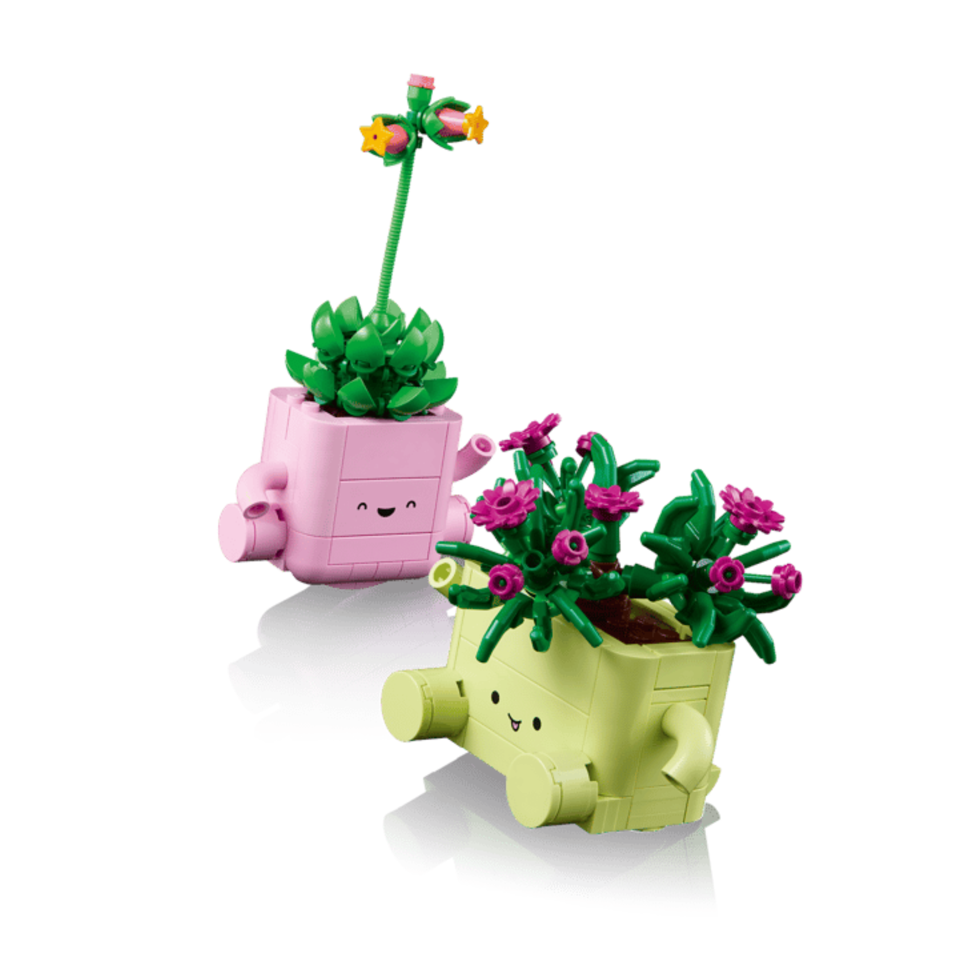 Lego Botanicals Rocking Plants 11506