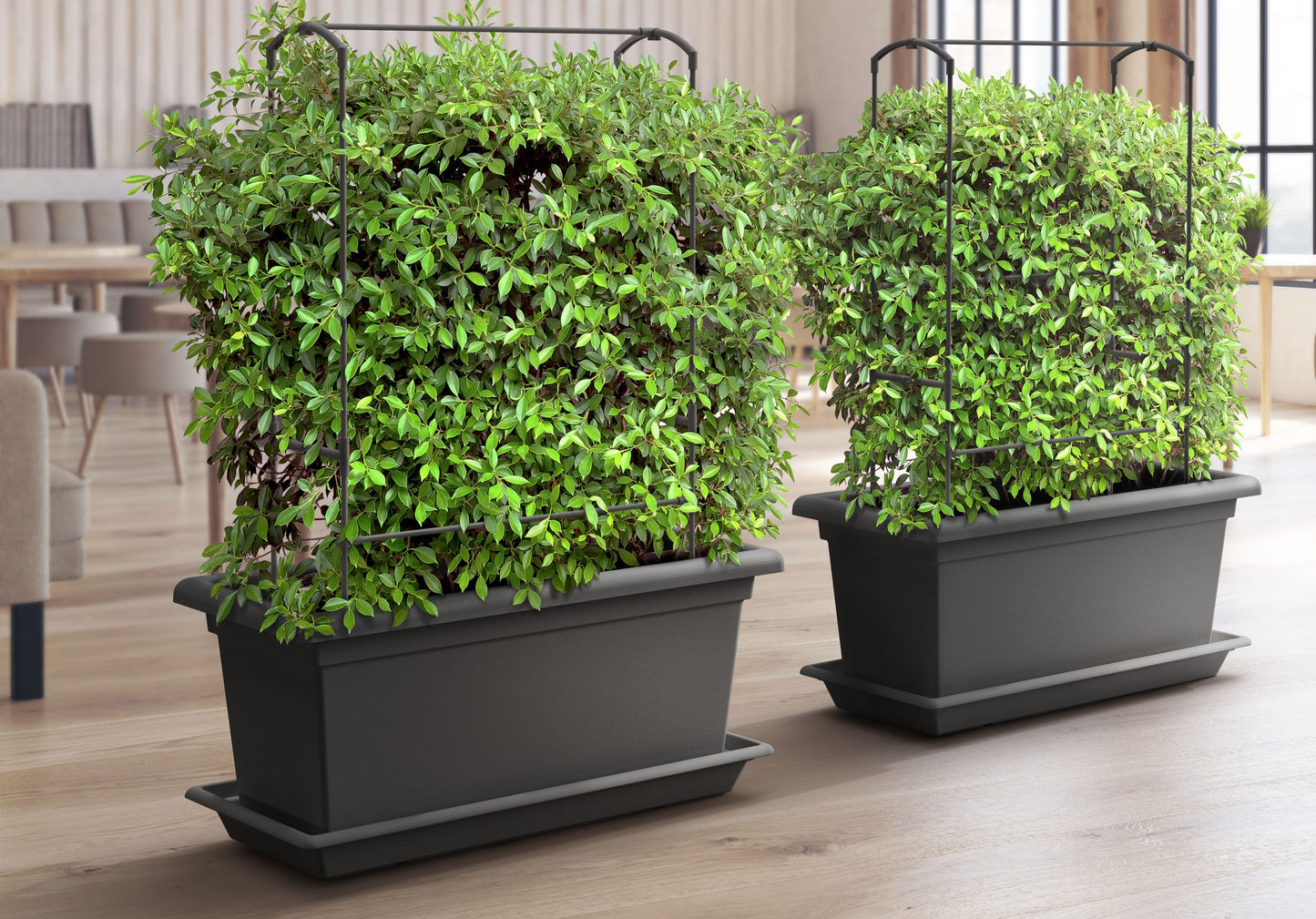 Gardenico Mobile Living Wall Kit Pot & Trellis