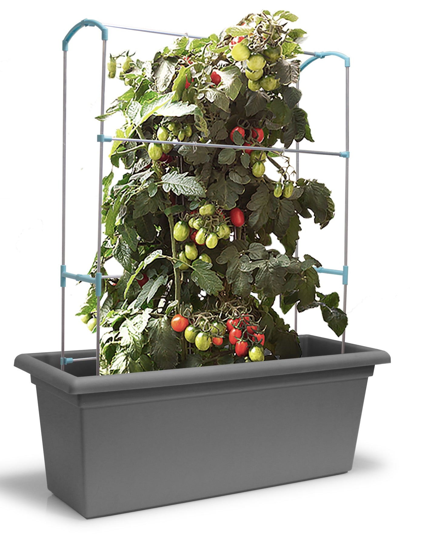 Gardenico Mobile Living Wall Kit Pot & Trellis