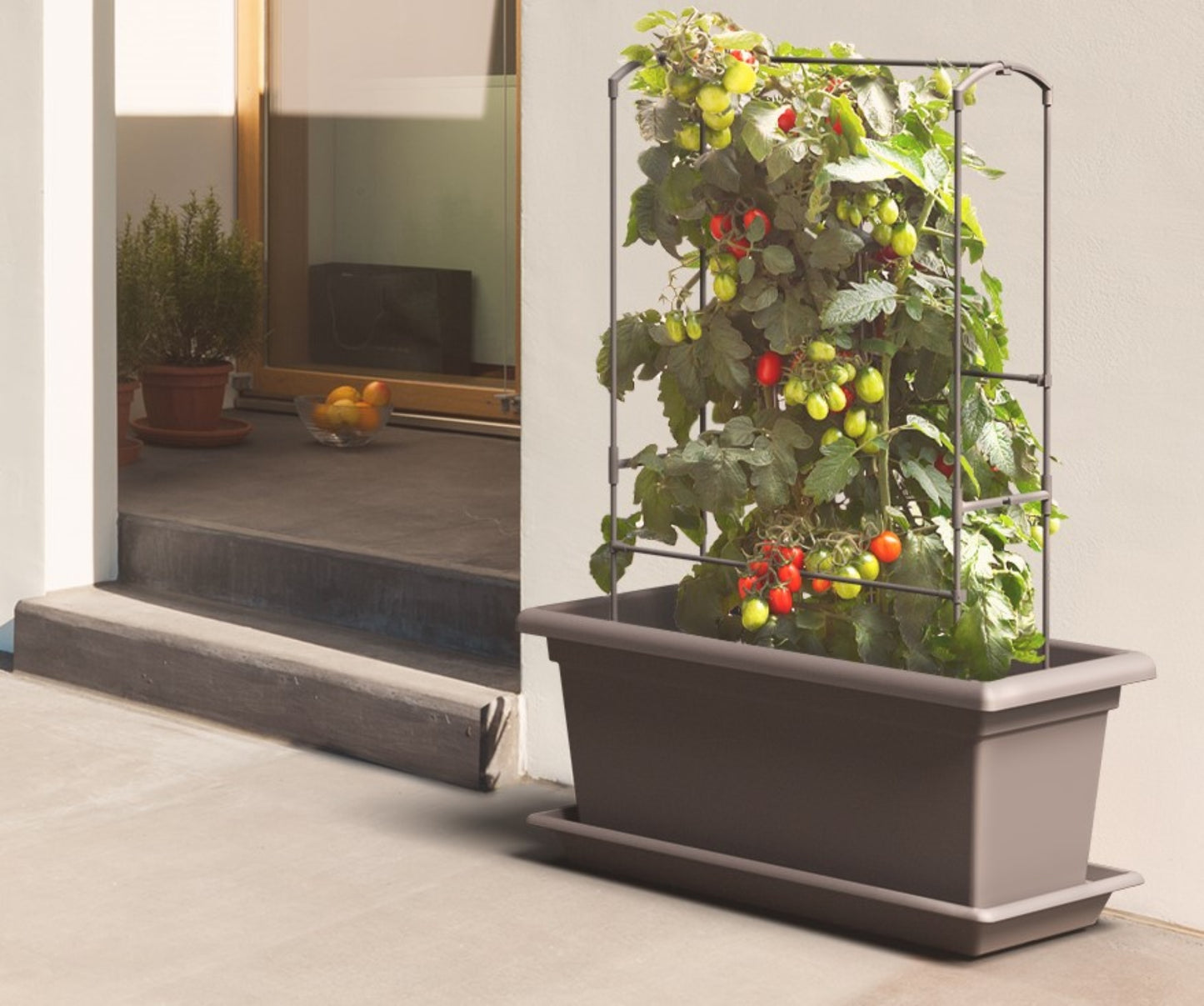 Gardenico Mobile Living Wall Kit Pot & Trellis