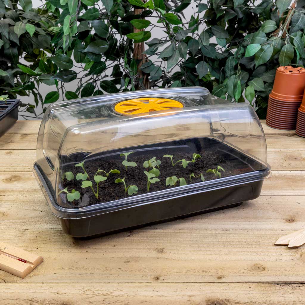 Grower's Choice 11W Electric Heated Propagator 39cm
