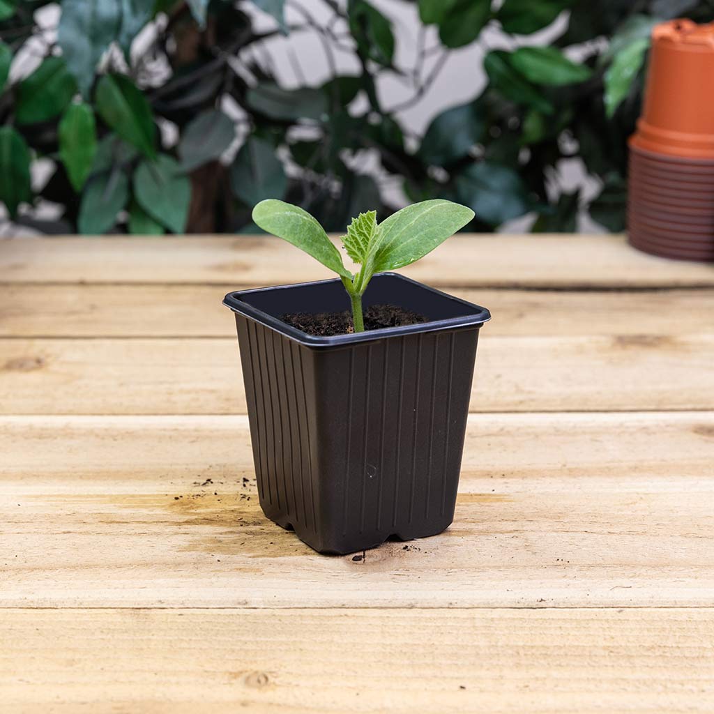 Grower's Choice 9cm Replacement Veg Pots (18 Pots)