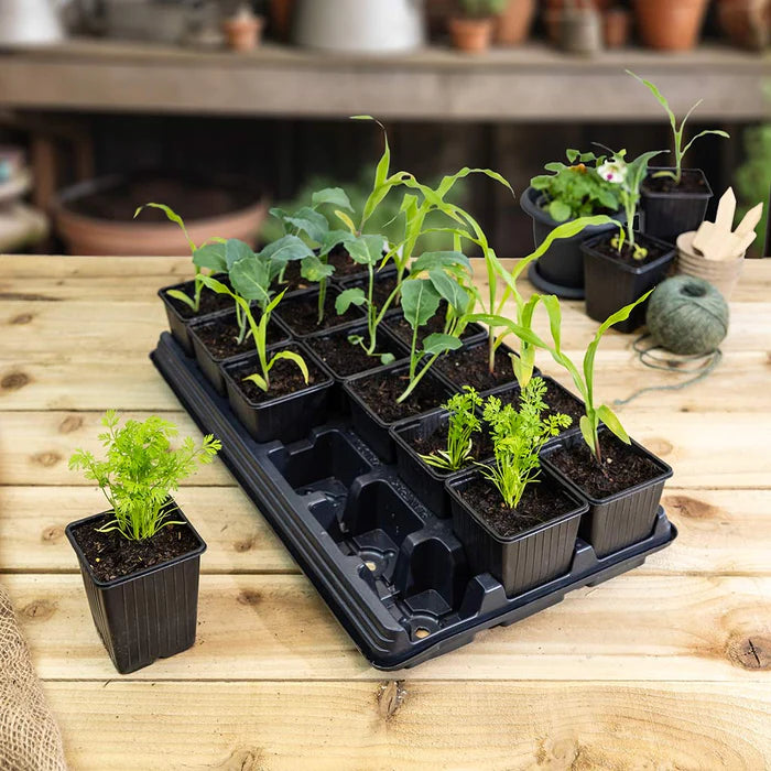 Bosmere Growers Choice Vegetable Growing Tray with Veg Pots & Tray 18cm x 9cm