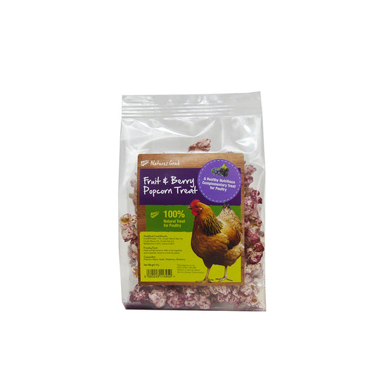 Natures Grub Fruit & Berry Popcorn Treat