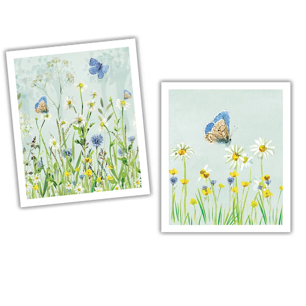 Eddingtons - National Trust Butterfly Plant Based Cleaning Cloth Set Of 2