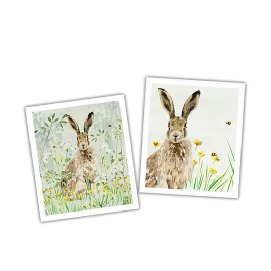 Eddingtons - National Trust Hare Plant Based Cleaning Cloths Set Of 2