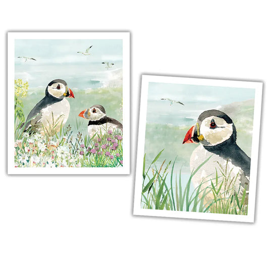 Eddingtons - Nationaltrust Puffin Plant Based Cleaning Cloths Set Of 2