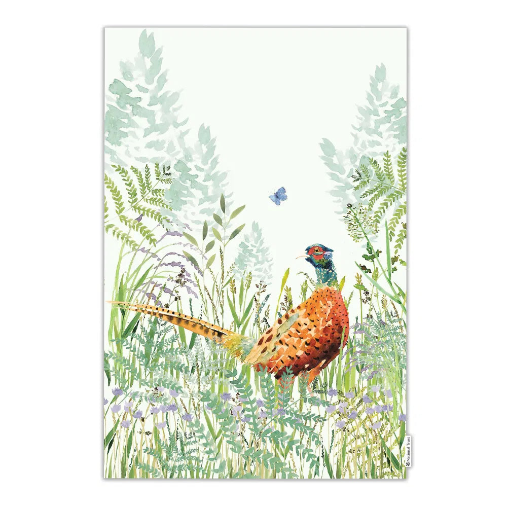Eddingtons - National Trust Pheasant Organic Cotton Single Tea Towel