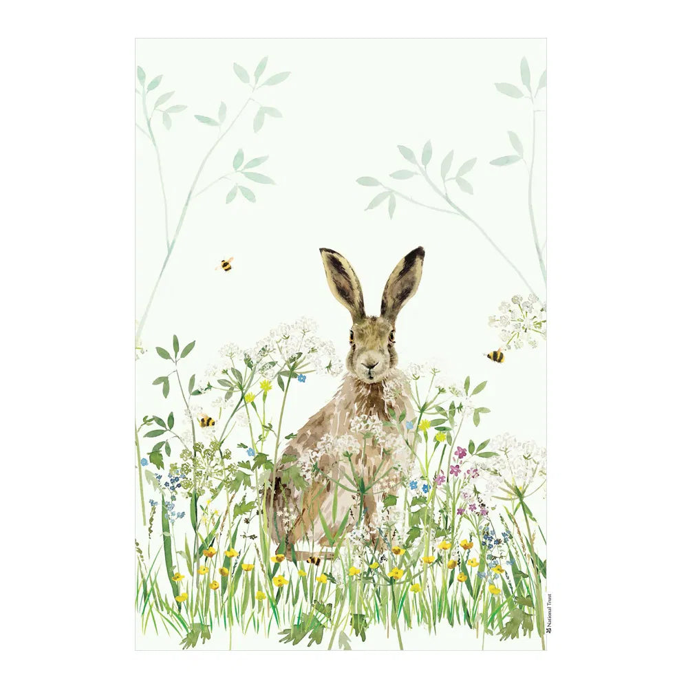 Eddingtons - National Trust Hare Organic Cotton Single Tea Towel