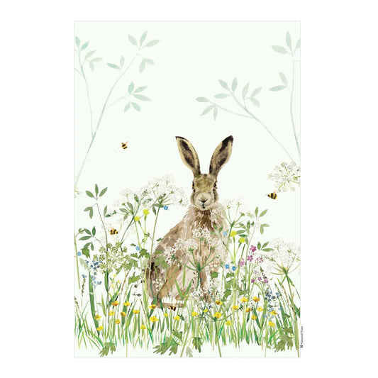 Eddingtons - National Trust Hare Organic Cotton Single Tea Towel