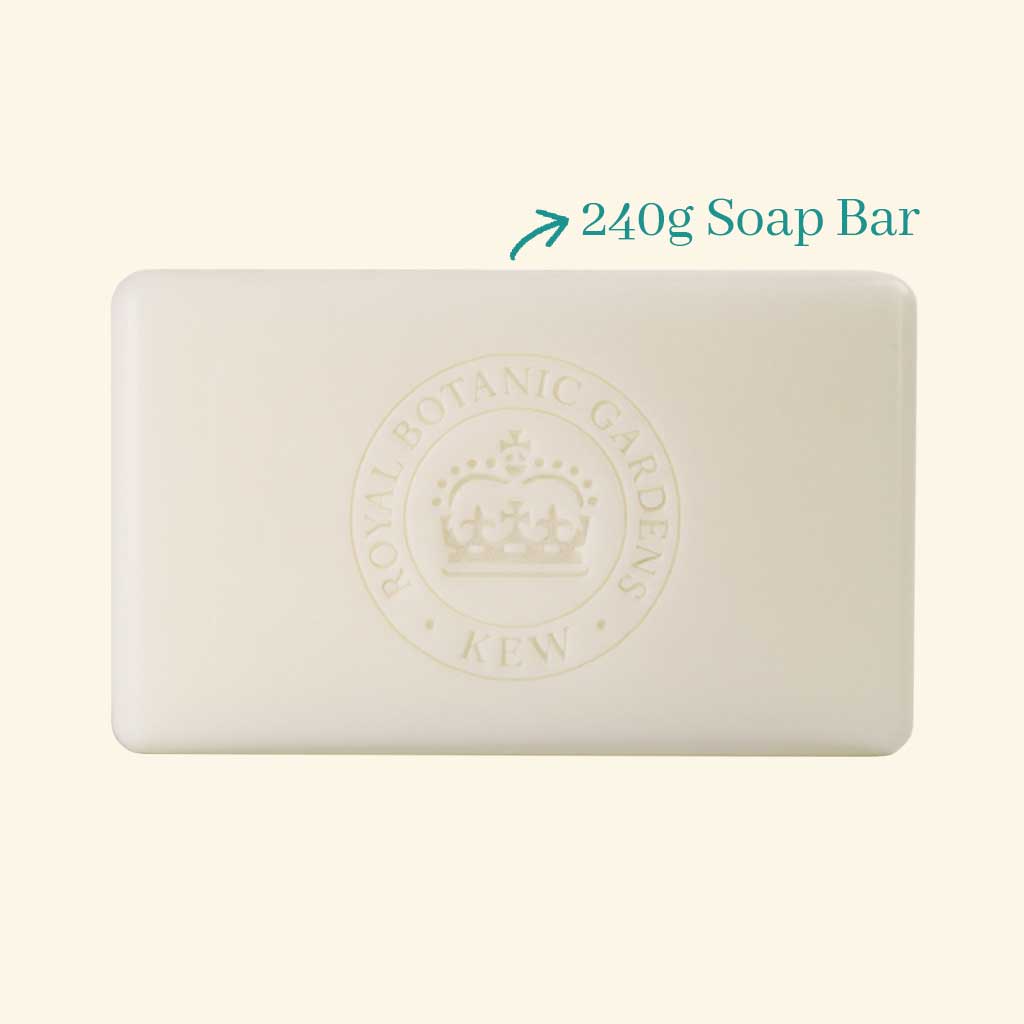 English Soap Company Kew Gardens Summer Rose Soap