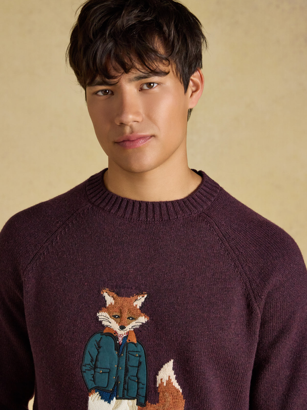 Joules Jonty Fox Crew Neck Knitted Jumper