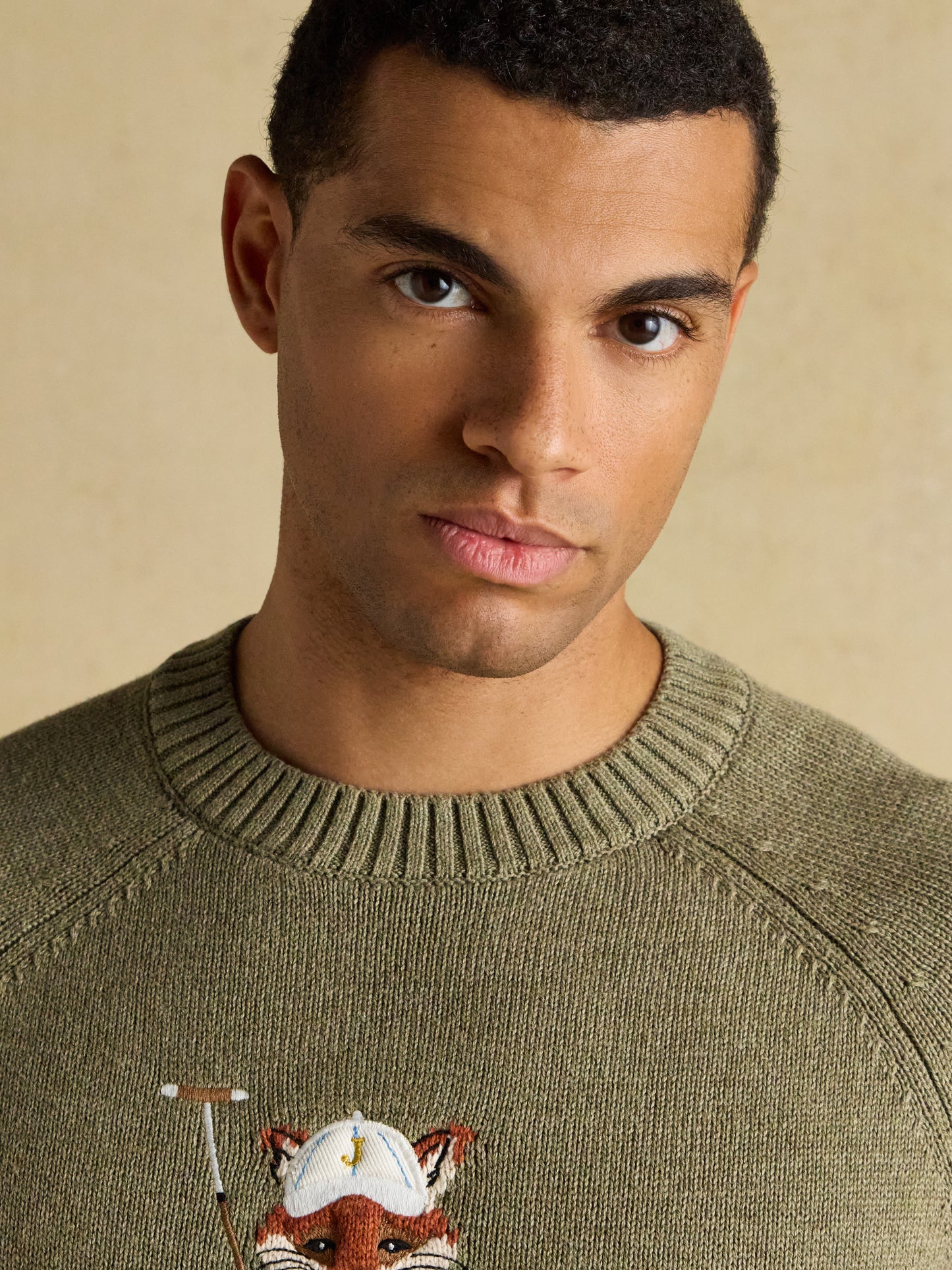Joules Jonty Fox Crew Neck Knitted Jumper