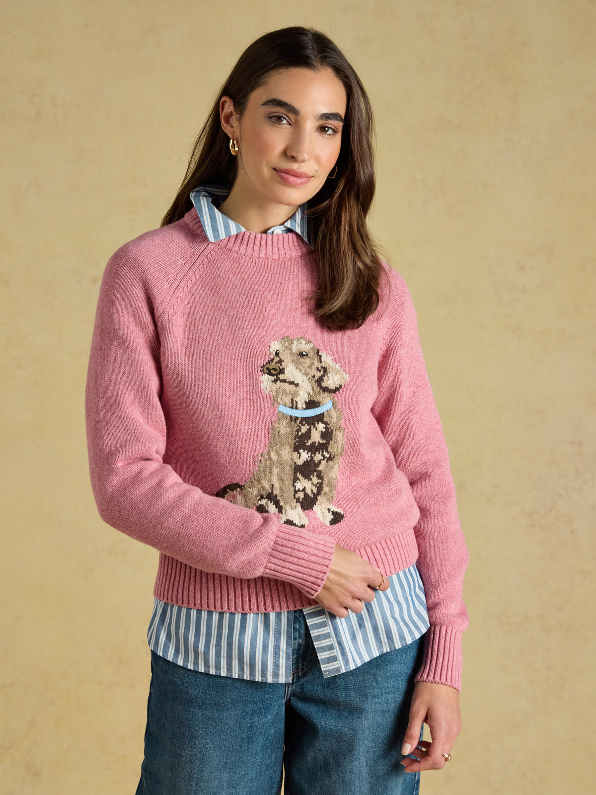Joules Dachshund Cotton Blend Crew Neck Knitted Jumper showing intarsia dog artwork and ribbed crew neck