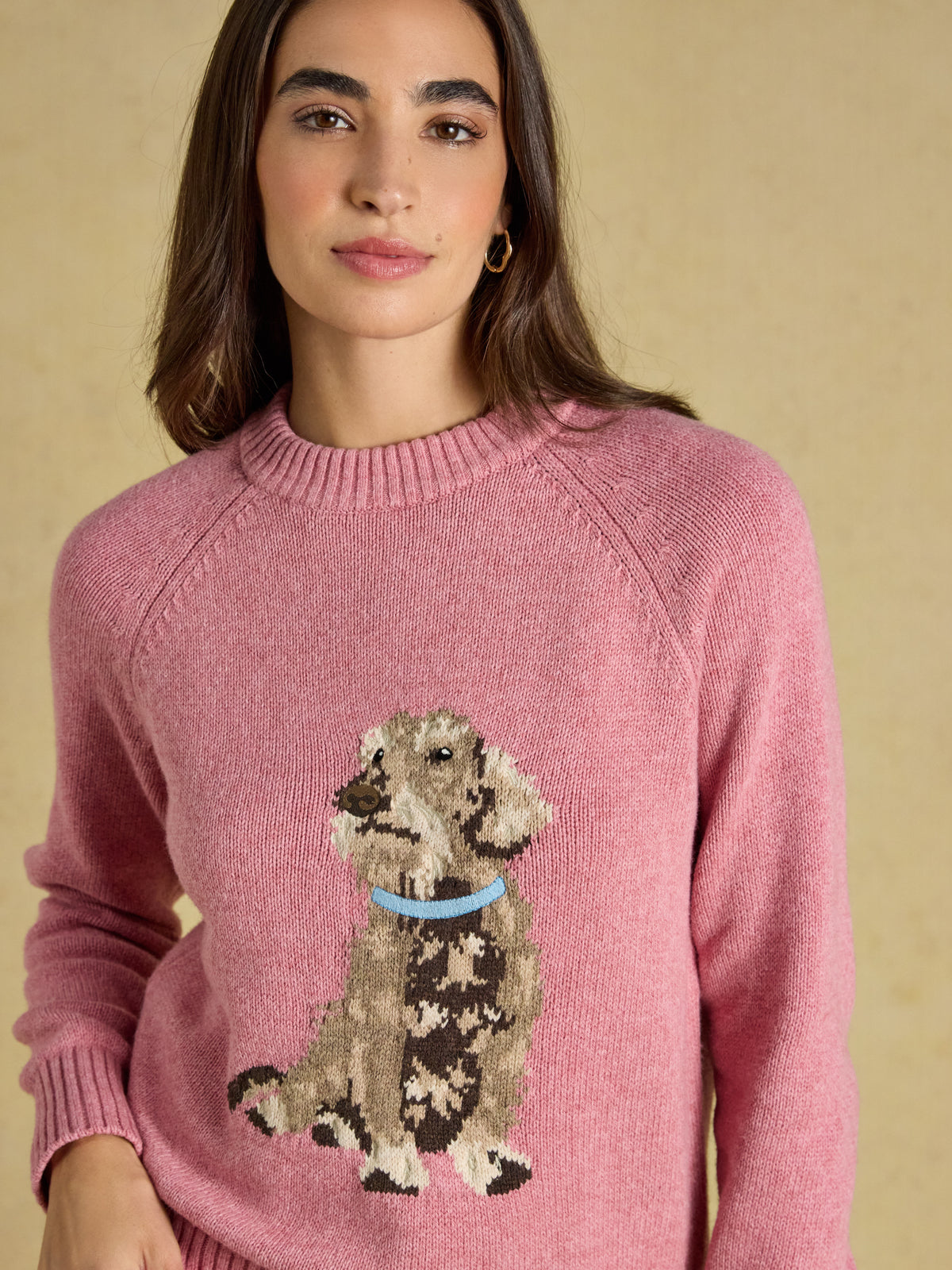Joules Daschund Cotton Blend Crew Neck Knitted Jumper