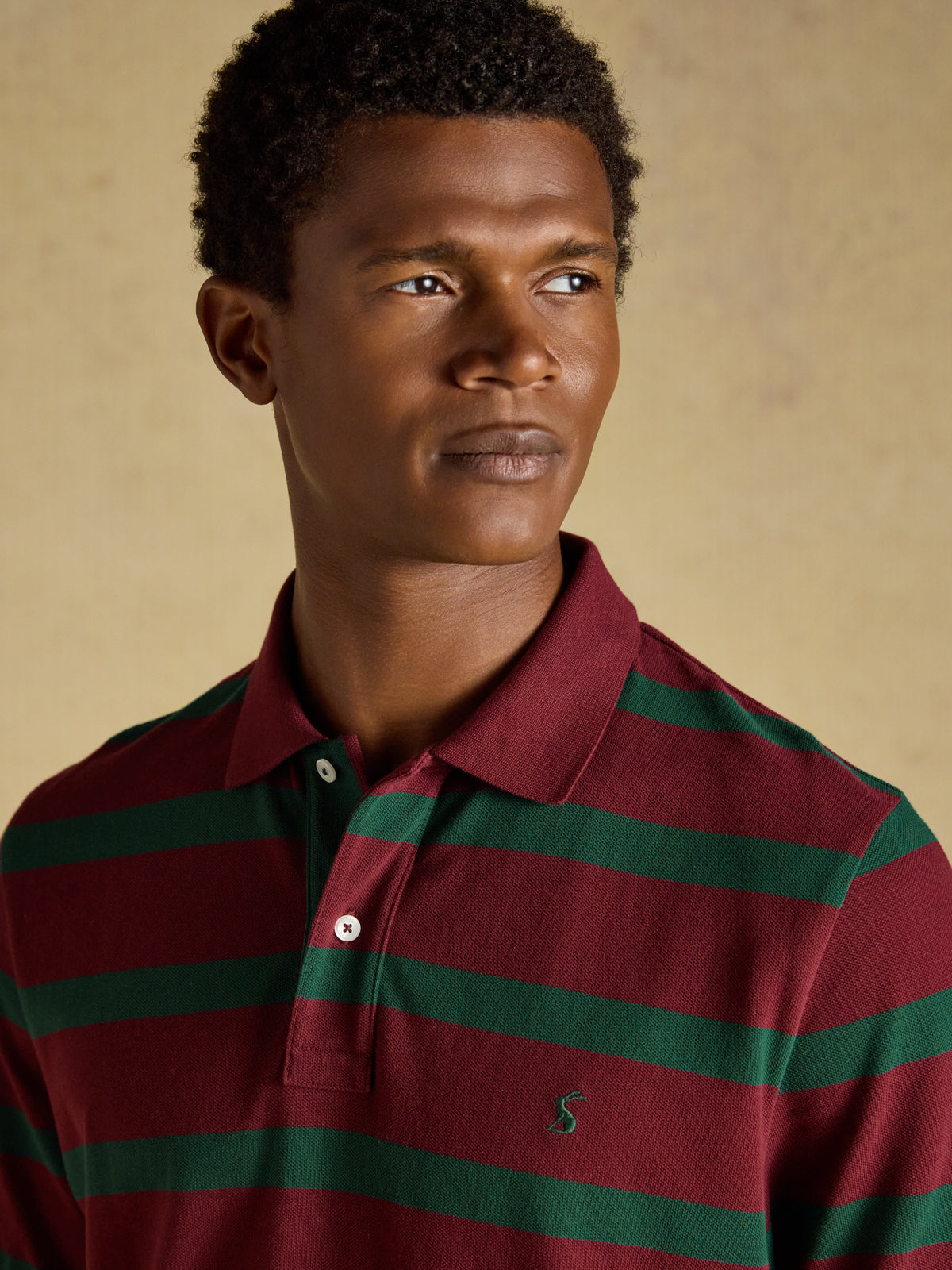 Joules Woody Stripe Polo Shirt