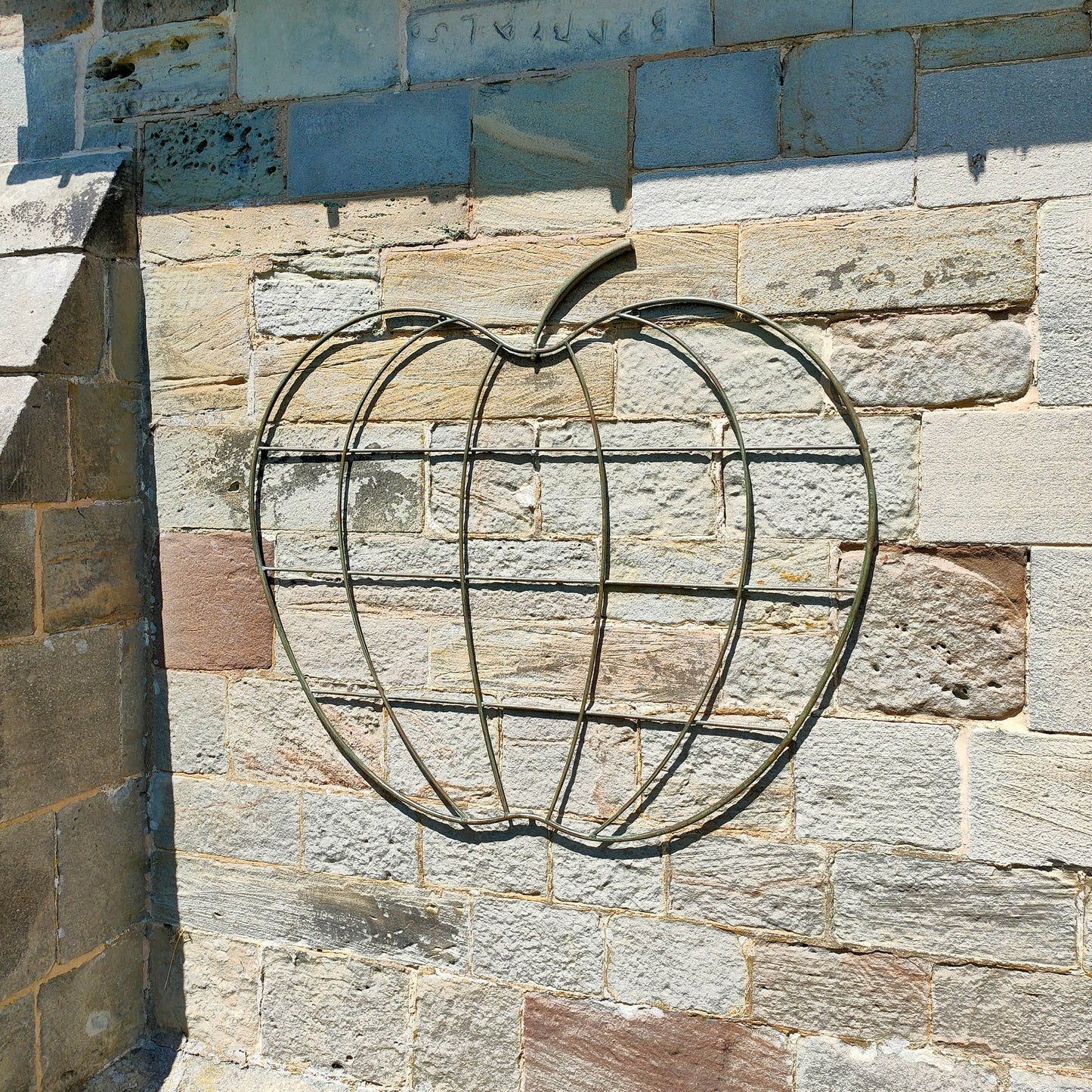 The Good Life Apple Orchard Trellis
