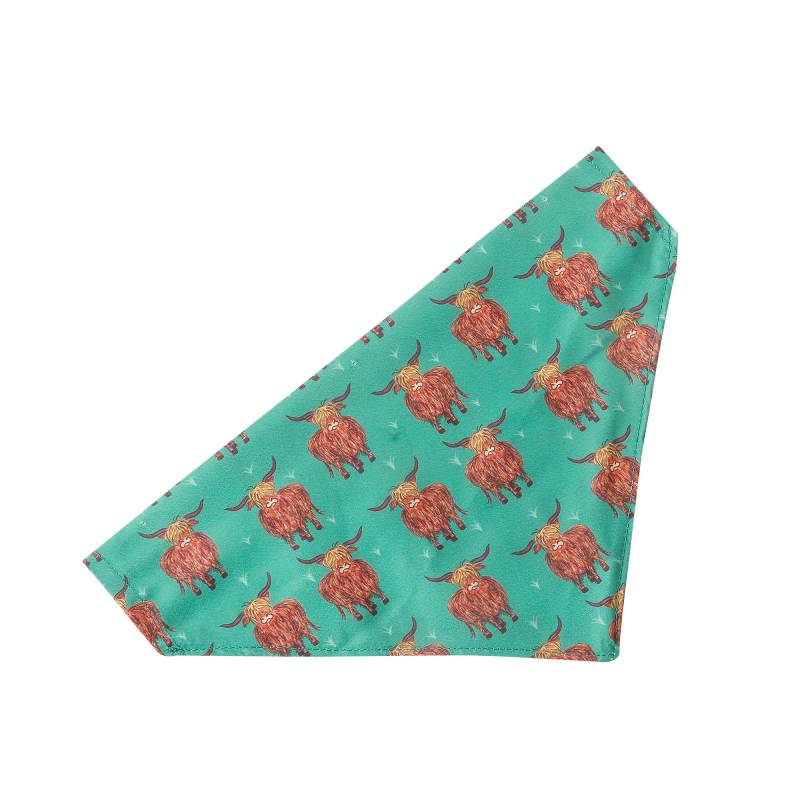 PB06 Teal Highland Cow Dog Bandana