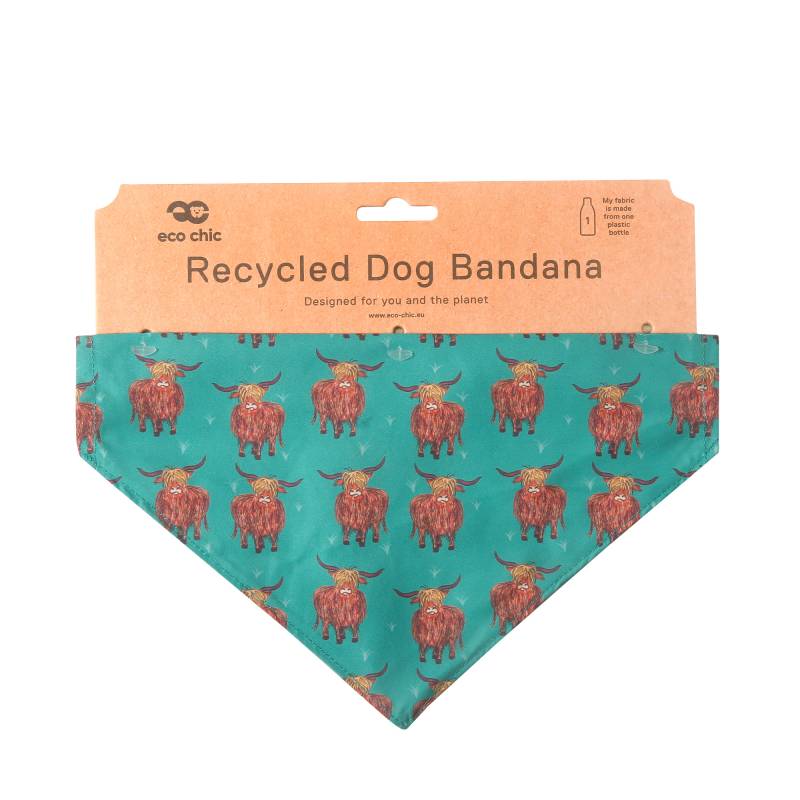 PB06 Teal Highland Cow Dog Bandana