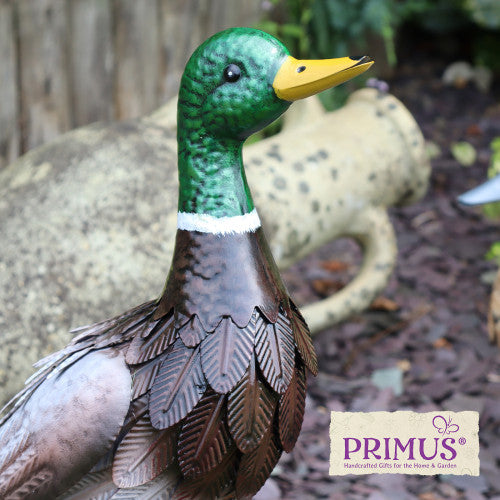 Primus Metal Farmyard Male Duck