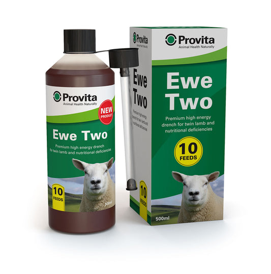 Provita Ewe Two Premium High Energy Drench
