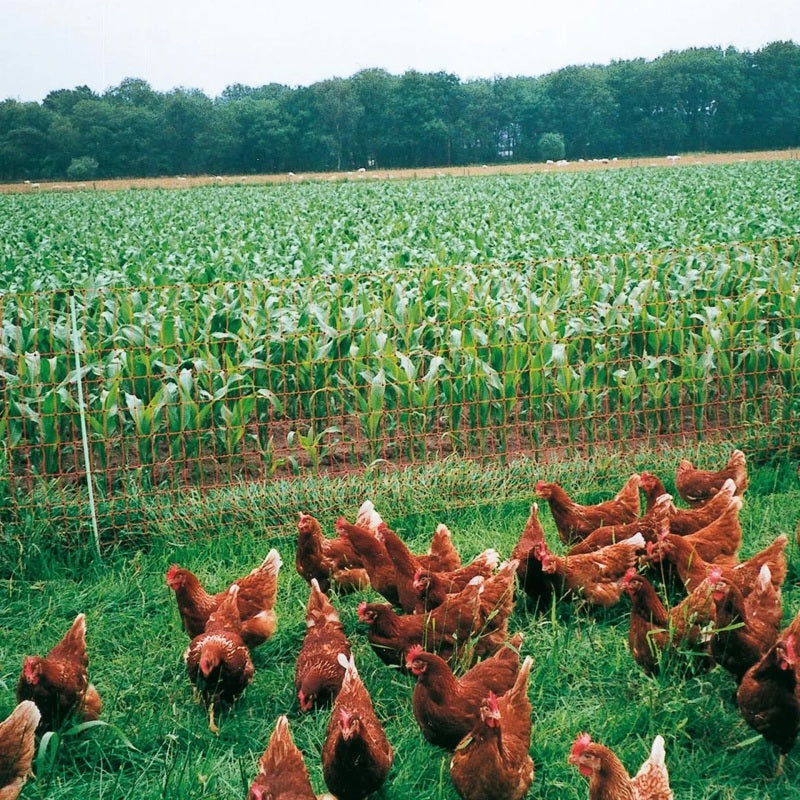 Gallagher Poultry Kit incl. B60 Fence Energizer (12V)