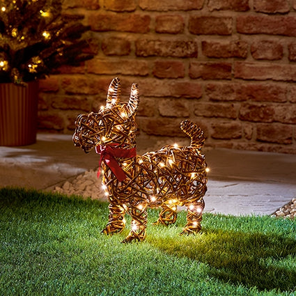 Premier 35cm battery operated lit woven dog figure with red scarf and warm white LED lights displayed outdoors on lawn