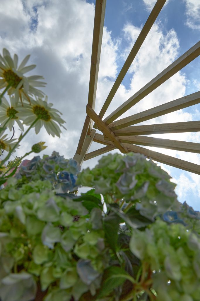 Forest Garden Premium 90 Degree Radial Pergola