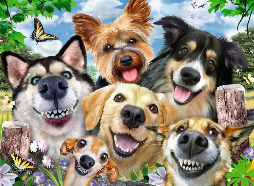 Ravensburger Selfies Dogs Delight 500 Piece Jigsaw Puzzle