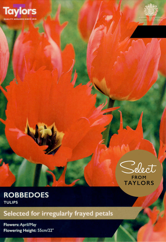 Taylors Bulbs Select Tulip Robbedoes retail pack showing a close-up of vibrant orange-scarlet tulips with wildly frayed, jagged petal edges and a golden base.