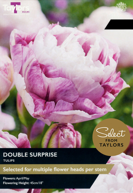 Taylors Bulbs Select Tulip Double Surprise retail pack showing a close-up of a large, full double tulip flower with soft lilac-pink outer petals and a fluffy white centre.