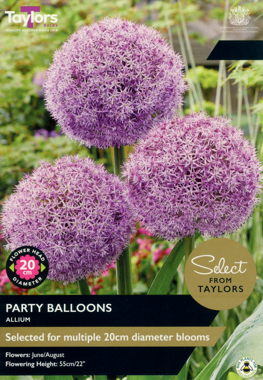 Taylors Bulbs Select Allium Party Balloons retail pack showing three large, perfectly round, dense purple ornamental onion flower heads on strong green stems.